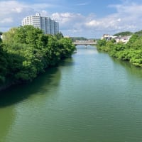 佐鳴湖への散歩