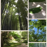 夏の鎌倉散策