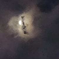 旧暦５月２４日の月