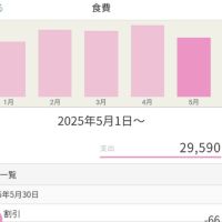 5月の食費公開　無理せずに収まった