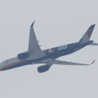 最近撮った特別塗装機（DELTA）