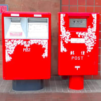 ご当地ポスト（３５） 札幌大通郵便局の桜と街中の桜