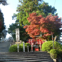奈良吉野山の紅葉狩り