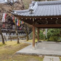 京都・左京区、永観堂（２）