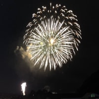 最高の花火スポット🎇