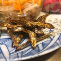 明けましておめでとうございます