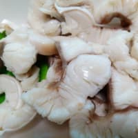 えつ！梅雨明け