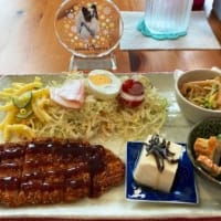 ラピちゃん、カフェデビュー(^^♪