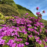 明日と明後日は波動ヒーリング教室を開催します
