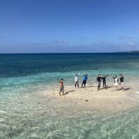  GoToで西表島#5(バラス島～シュノーケリング)