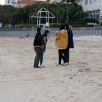 沖縄の旅（３）