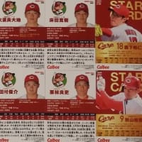 カルビー２０２４プロ野球チップス第２弾