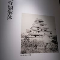 2025/3/5　きゅんパス日帰り旅行　中編2025/3/5にJR東日本の「きゅんパス」を使って日帰りで出かけてきました。