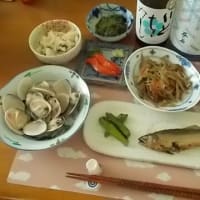 そんなに大人気なのか。。。