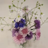 ミックスフラワーガーデンで咲いた花を花瓶に生けました2022年