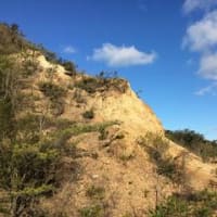 2015.12.8  行者山