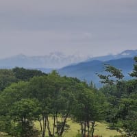 たまごのような方たちと