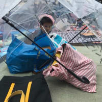雨の運動会 傘テント