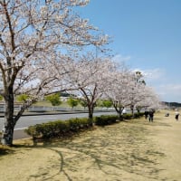 自転車で妄想ドイツ旅行