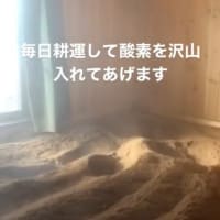 Hair Mahalo 福岡県柳川市 米ぬか酵素美肌風呂 美容師としての 美容 は お客様と私達にとっての永遠のテーマ Hair Mahalo 福岡県柳川市 米ぬか酵素美肌風呂 美容師としての 美容 は お客様と私達にとっての永遠のテーマ