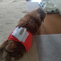介護