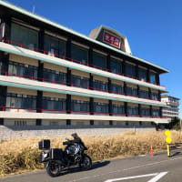 冬は南へ