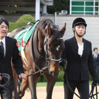 アメージングムーン