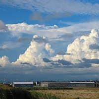 夏の雲