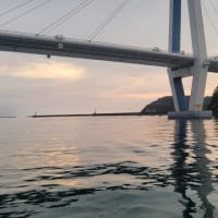無謀でハードな遊漁船の釣りをしてしまった～～