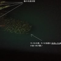 鯵釣り