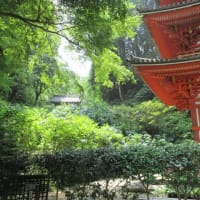 関西花の寺２５ゕ寺　第１５番・岩船寺