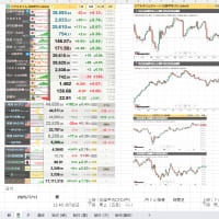 ●2025年07月11日（金曜日）の　昼の市況