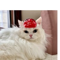 今日いち-2025年2月2日