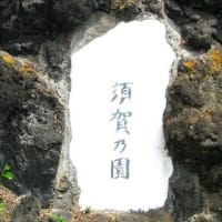 須賀の園訪問　　R- 6- 4- 29