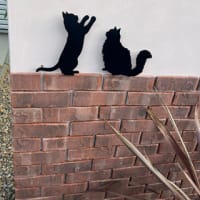 二匹の猫さん（短毛のネコさん＆長毛のネコさん）の壁飾り