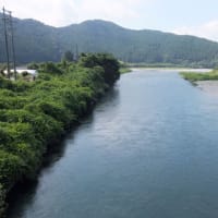 本日の海部川