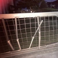ロープ１本を