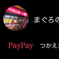 PayPayでの決済に対応します。