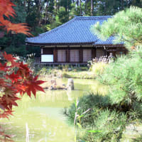 紅葉と浄瑠璃寺本堂