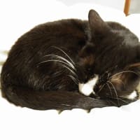 本年最後の挨拶である