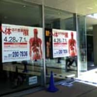 人体の不思議展。