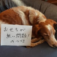 おせちが無い問題　のつづき