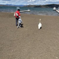 2021/4/18 山中湖キャンプ3日目