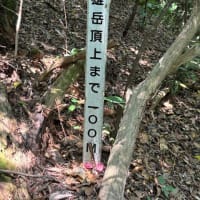 「由布川峡谷探検ツアー」に参加しました、その５。
