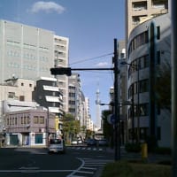 日曜日の写真