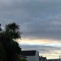 今日は晴れ