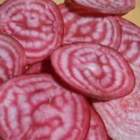 日焼け対策