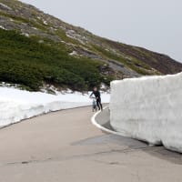 乗鞍岳　畳平周辺を散策　５