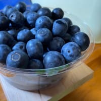 吉野鶏めし食堂（大分市吉野）