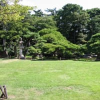 【原口一博】財務省＆石破政権の外交放棄が招いた700％関税の衝撃と日本の屈辱的未来【トランプ関税:自民党:立憲民主党】